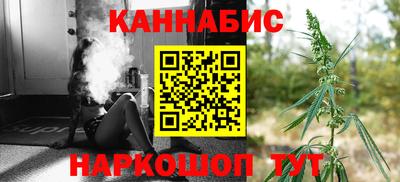 шишки Кингисепп
