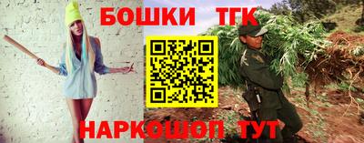 шишки Кингисепп