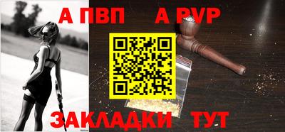 шишки Кингисепп