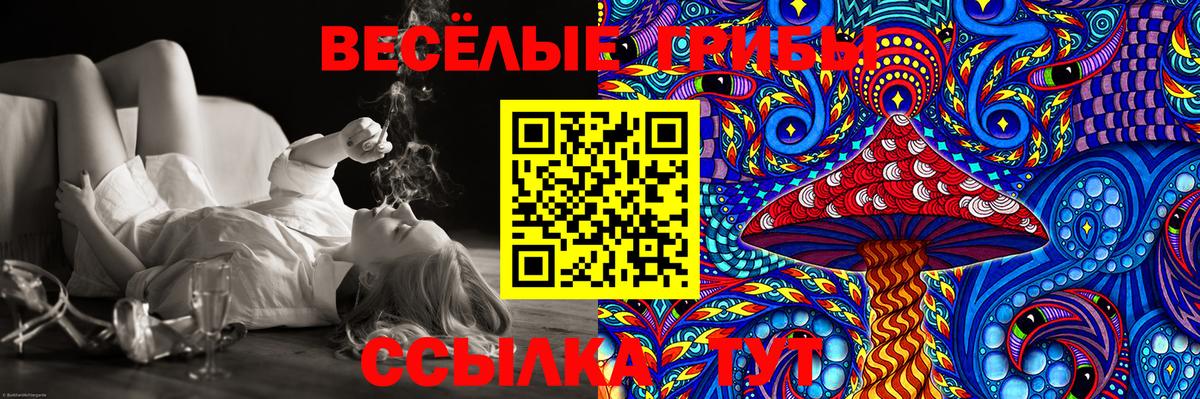 Галлюциногенные грибы Cubensis  Псилоцибиновые грибы прущие грибы  Вход с VPN  наркота  Каспийск 