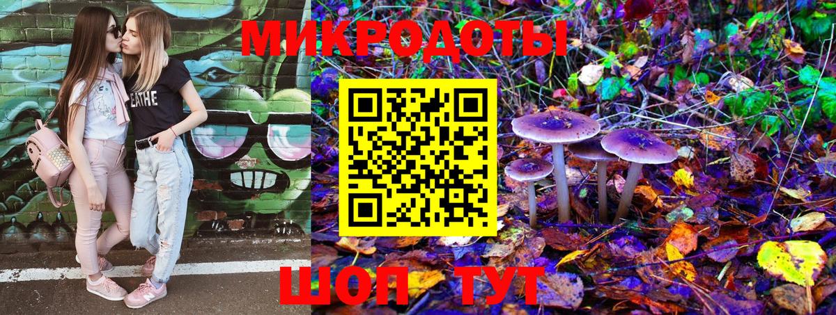 Галлюциногенные грибы Cubensis Каспийск